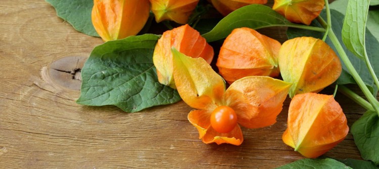 Fotolia_55469978_S-1600x900